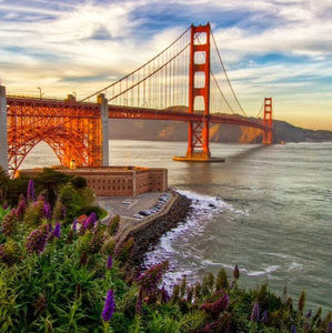 Meet your Posher, Merida